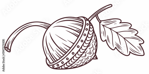 A beautifully detailed illustration of an acorn and a leaf.