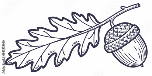 A detailed illustration of an oak leaf and an acorn with a twig