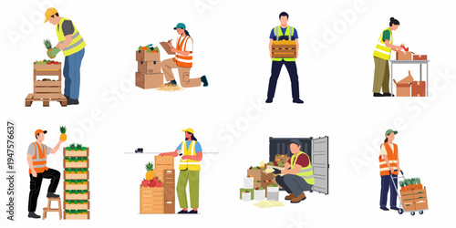 Warehouse Workers Packaging and Organizing Fresh Fruit for Distribution and Logistics Vector Illustration Set