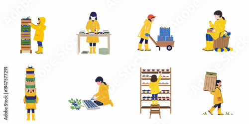 A collection of illustrations showing a girl in a yellow raincoat performing various blueberry harvesting and processing tasks, from picking to packing.