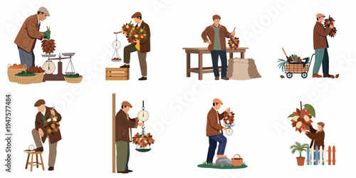 Set of flat illustrations depicting farmers and workers harvesting, weighing, and preparing bundles of agricultural products for local market trade.