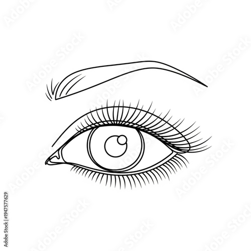 Detailed Illustration of Human Eye Anatomy.