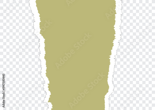 Torn paper set vector design, Ripped torn paper illustration vector background.Torn, ripped torn design, pieces of horizontal black paper with soft shadow squared background.