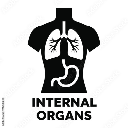 A simplified black silhouette depicts the human torso showcasing the lungs stomach and a partial view of internal anatomy high quality professional detailed modern