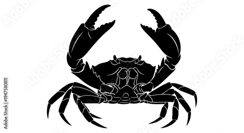 Black Crab Silhouette Side View Closeup.