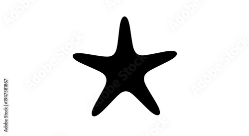 Black starfish marine animal closeup.