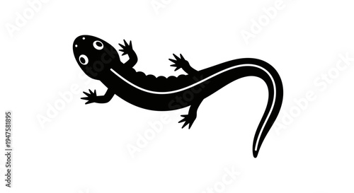 Black salamander with white stripe.
