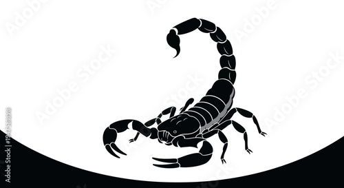 Black scorpion isolated on white background.