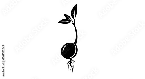 Black silhouette of a growing seed.