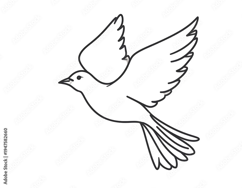 Fototapeta premium Black and white line drawing of a flying bird, possibly a dove. Simple design with outstretched wings, soaring on a white background