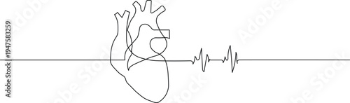 A simple line drawing of a human heart with an electrocardiogram waveform