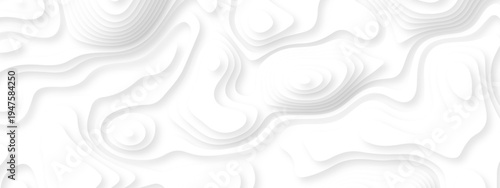 Abstract background vector Abstract wavy line 3d paper cut white background. Abstract pattern with lines. Abstract sea map geographic contour map and topographic contours map background.