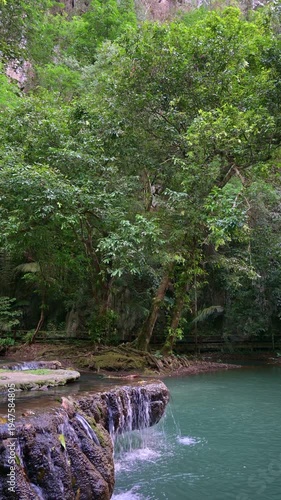 Vertical shot tranquil scene in rainforest with fresh water flowing over the rocks to the pond surrounded by green plants at Than Bok Khorani National Park. Krabi Province. Thailand.