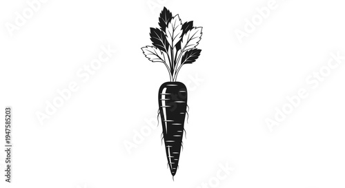 Fresh Carrot with Green Leaves Isolated on White Background.