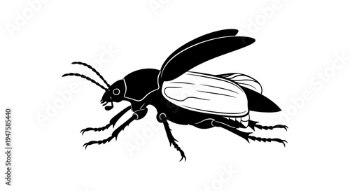 Detailed illustration of a beetle insect.