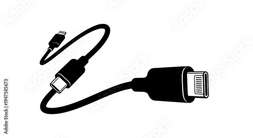 Lightning to USB C adapter cable.