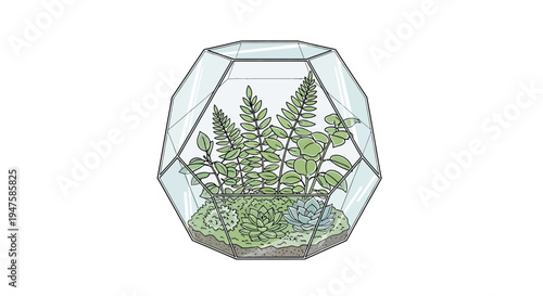 Geometric glass terrarium with lush green ferns and small plants inside.