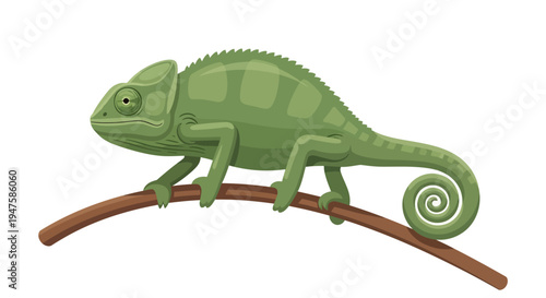 Green chameleon perched on a branch with a curled tail.