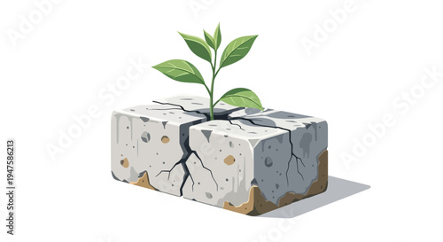 Green sprout growing through cracked concrete block symbolizing hope and resilience.