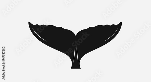 Whale tail in the air.