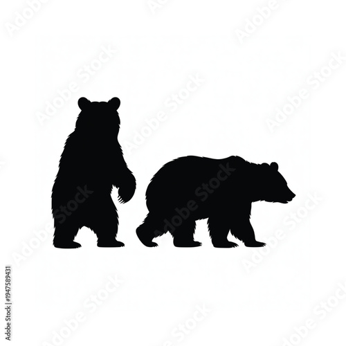 Silhouette of two bears a large adult and smaller cub walking
