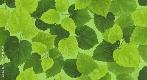 Green leaves on a plant closeup.