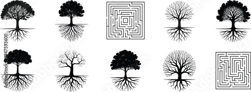 Stylized tree root system illustration, geometric maze design, organic growth symmetry concept, environmental nature art, educational biology ecology science image