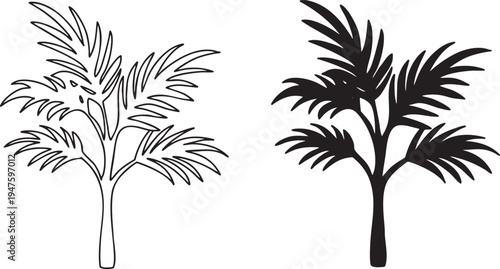Tropical Palm Tree Line Art and Silhouette Vector Set