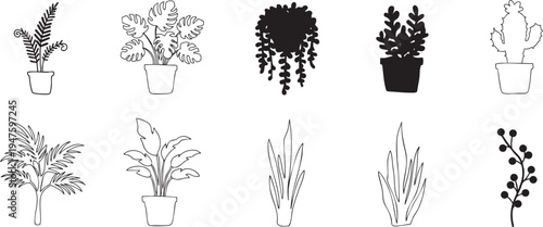 Minimalist Indoor Houseplant Line Art and Silhouette Illustrations Vector Set