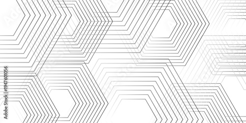 Geometric diagonal oblique vector curve gradient black and white graphic stripe line. Repeated fine diagonal lines Thin slash line stripes diagonal vector elegant background