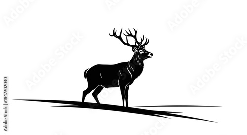 Deer with Large Antlers Standing Alone.