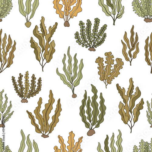 Pattern of various hand-drawn seaweeds in green and brown hues