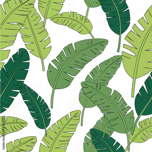 A pattern of green tropical leaves on a white background