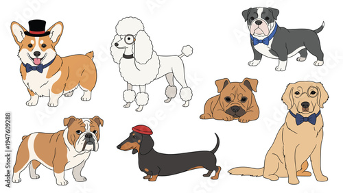 Collection of cute dogs of various breeds like Corgi, Poodle, Bulldog, and Golden Retriever wearing fashionable accessories like hats.