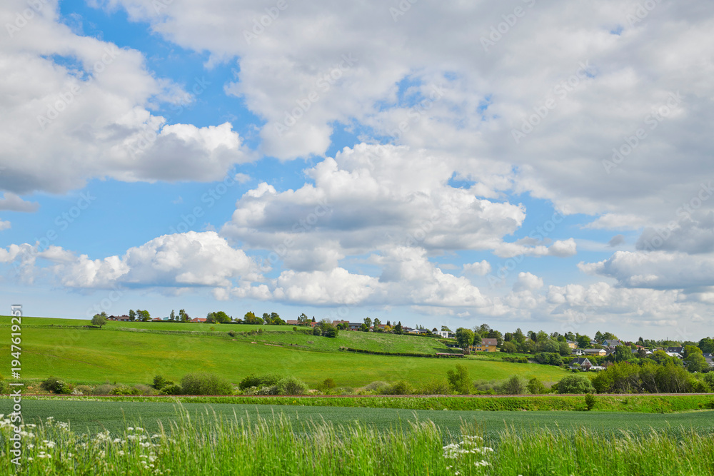 Obraz premium Countryside, plants and landscape of houses in field, farming pasture and rural location in nature. Overcast, meadow and village with greenery for agriculture, environment and flora in Denmark