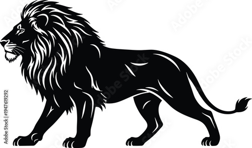 Black lion standing with long mane and tail white animal mammal