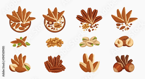 A collection of various nuts and seeds are arranged on a surface.