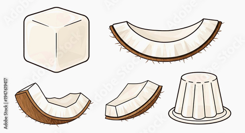 An illustration shows various cut and whole coconut pieces on a plate.