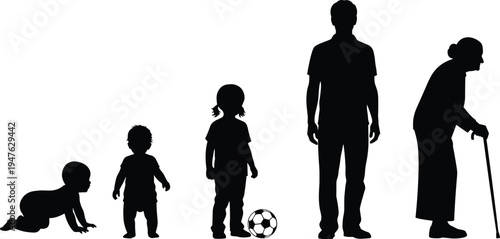 Silhouettes representing human life stages from baby to elderly person vector illustration