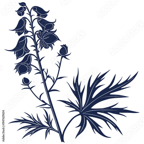  aconitum napellus silhouette on white background