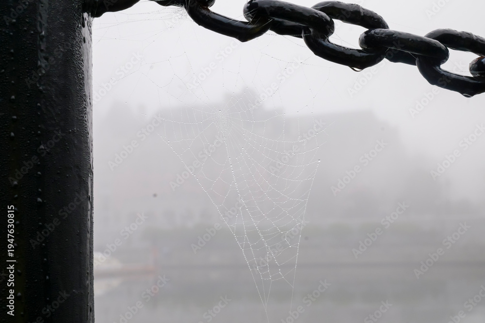 Fototapeta premium Spider web with dew on chain with fog copy space