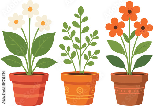 Collection of decorative potted plants with blooming flowers and lush green leaves, showcasing gardening, home décor, floral beauty, and botanical illustration for stock photography.