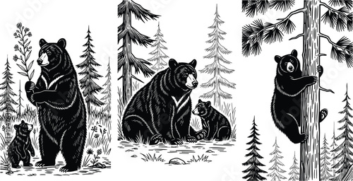 Black and white vector illustration of a majestic male lion standing with two cubs, wildlife family silhouette, isolated on white.