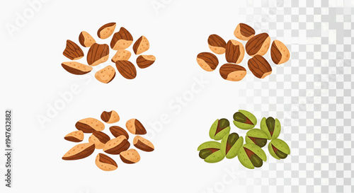 A vibrant illustration of assorted nuts including almonds and pistachios on a clean surface