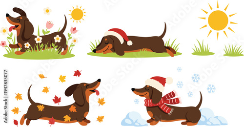 Cute Dachshund Dog Seasonal Activities Collection with Summer, Autumn and Winter Outdoor Scenes Funny Pet IllustraSeasonal Activities Collection with Summer, Autumn and Winter Outdoor Scenes 