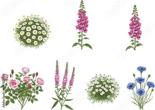 Vector illustration set showing the lifecycle of a potted bromeliad houseplant, progressing from healthy growth stages to a wilted plant with an exposed root system.