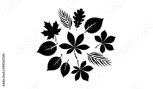 Circular tree leaves silhouette botanical vector set isolated on white