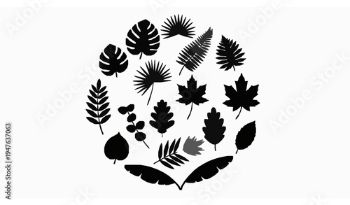 Circular arrangement of botanical leaf silhouettes with shadow vector design