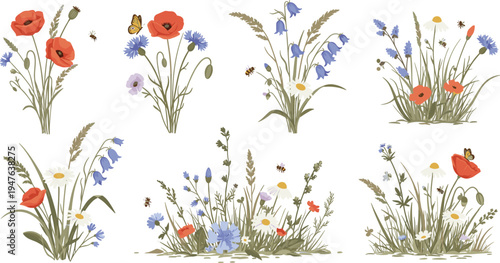 Wild Meadow Flower Clusters Collection with Poppies, CornflowerBotanical Illustration SetWild Meadow Flower Clusters Collection with Poppies, Cornflowers and Field Plants Natural Botanical 