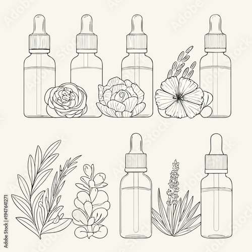Line art illustration of essential oil bottles with floral and herbal elements